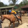 2017 Horseback Riding